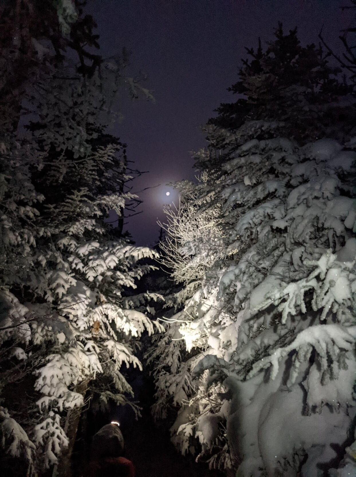 moonlight lamp
